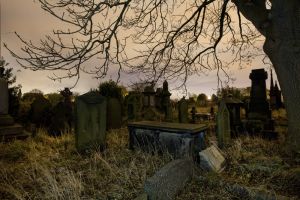undercliffe november 8 2012 1 sm.jpg